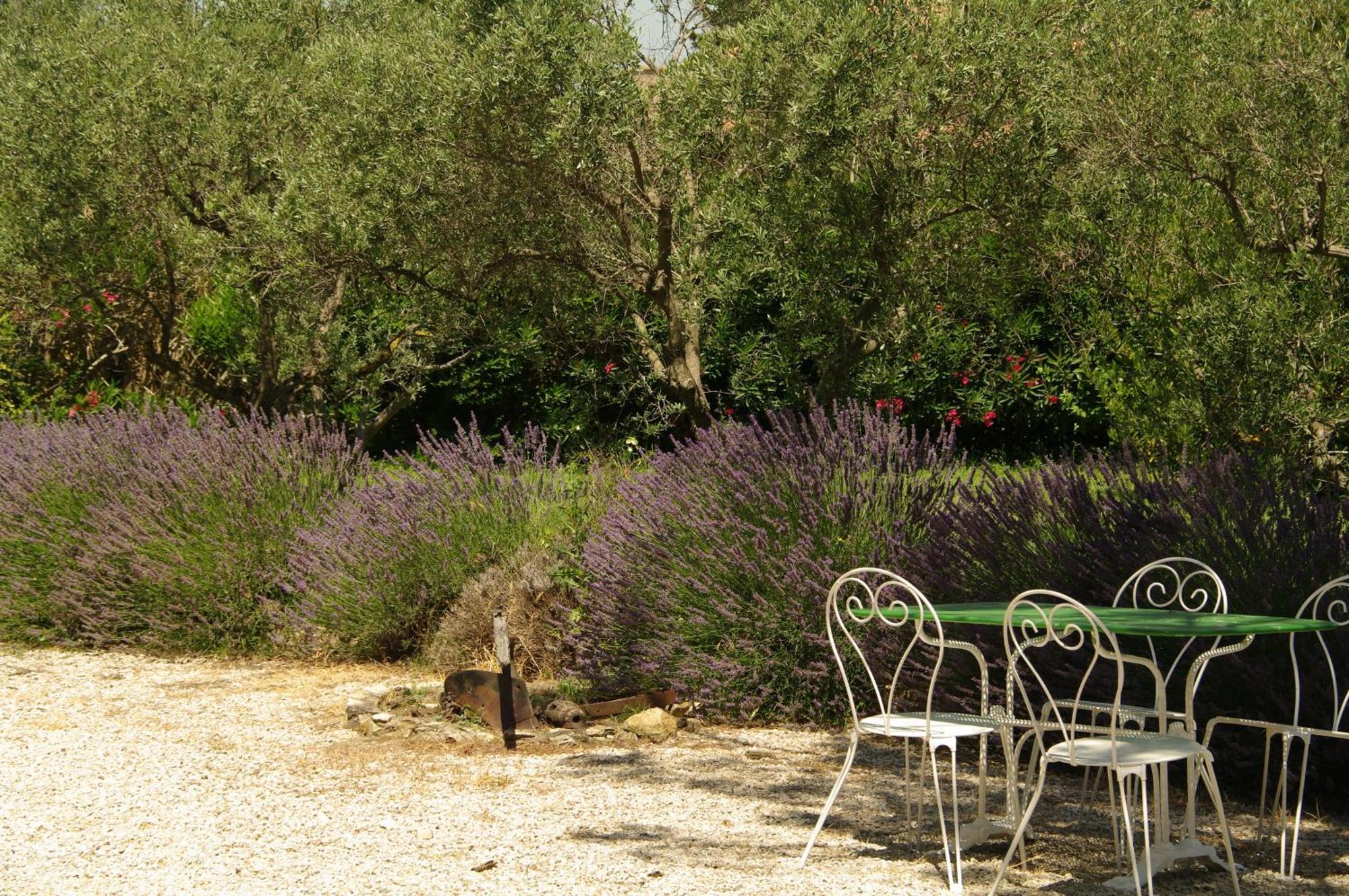 Residence Le Saint Victor Fontvieille Extérieur photo